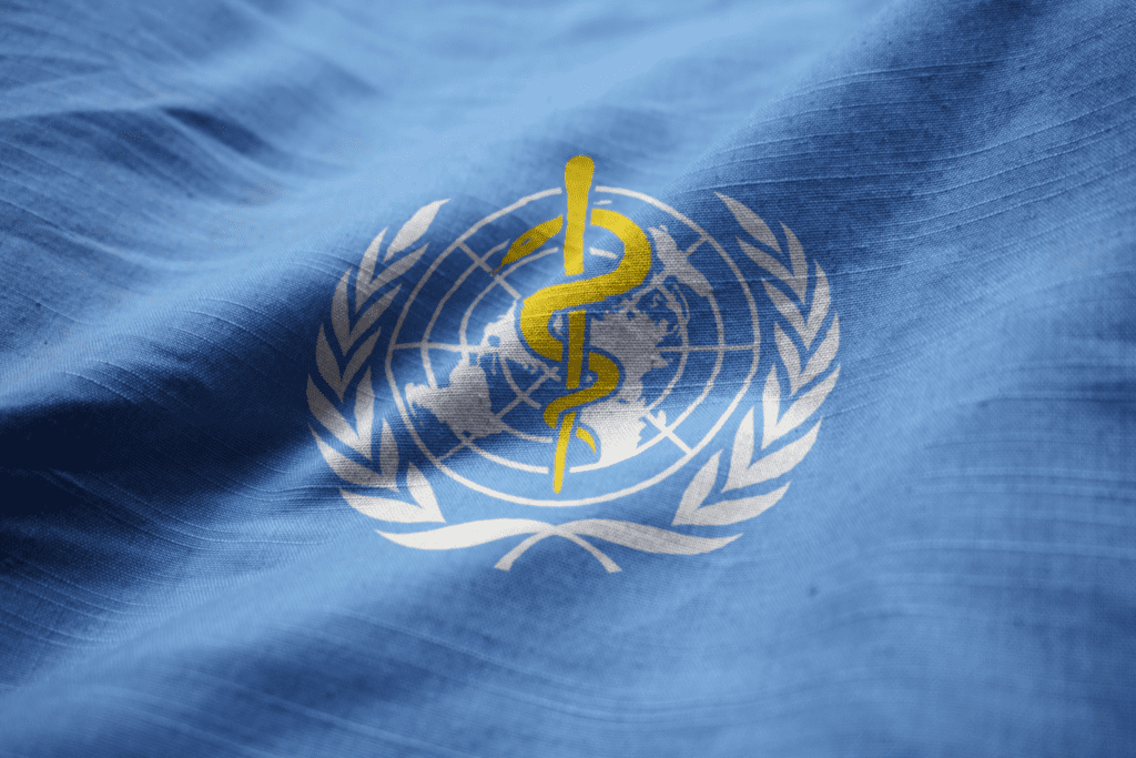 a world health organization logo on a textured blue flag
