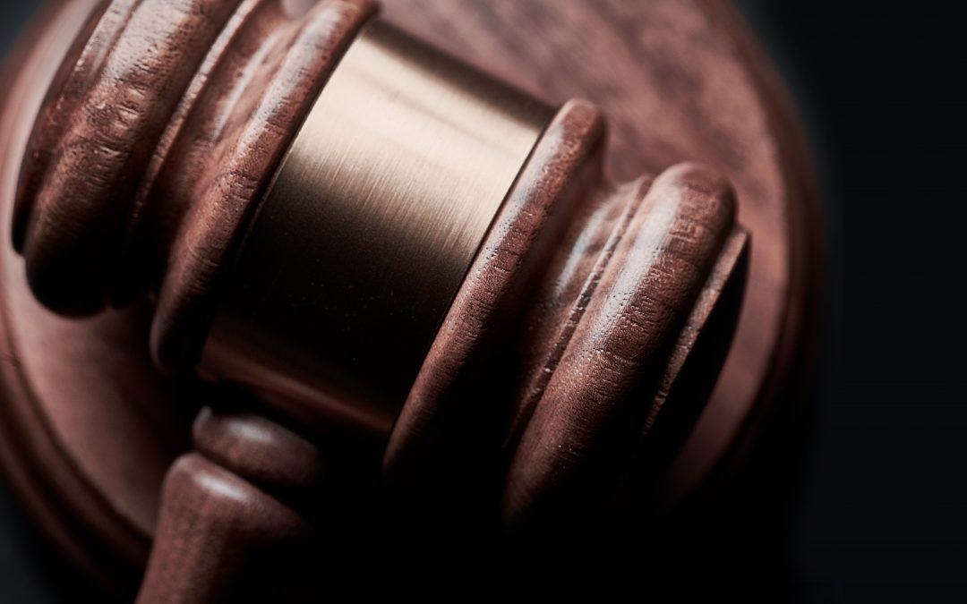 Minnesota Legislative Update