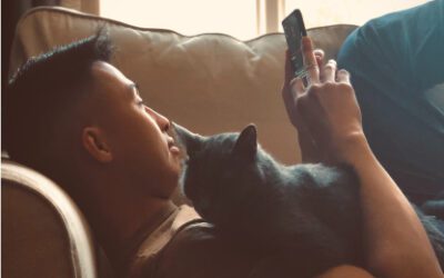 iGaming:  the Next Frontier of Legalized Gambling