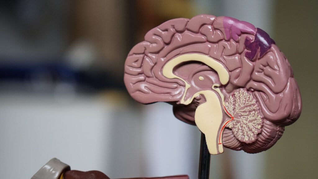 Cognitive distortions emerge following a big win on a simulated slot machine