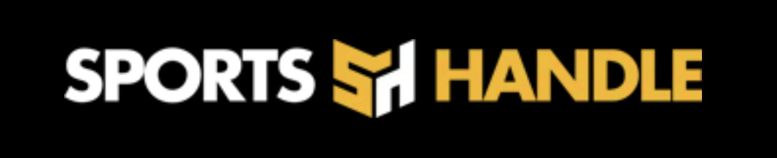 Sports Handle